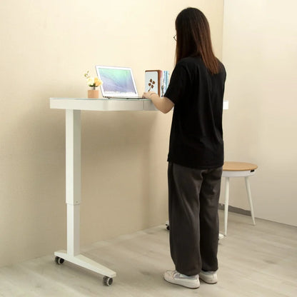 Smart Dual-Motor Height Adjustable Standing Desk – Durable Modern Executive Office Table | Ergonomic High-Tech Workspace