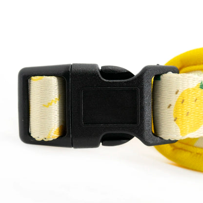 Collarlogo Adjustable Pet Dog Collar Durable Soft Cute Creative Lemon Design Leash Neoprene Harness Poop Poo Bag Dispenser