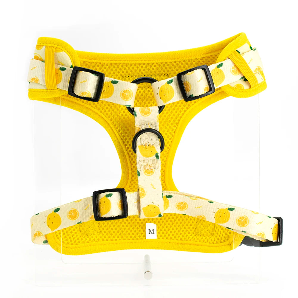 Collarlogo Adjustable Pet Dog Collar Durable Soft Cute Creative Lemon Design Leash Neoprene Harness Poop Poo Bag Dispenser