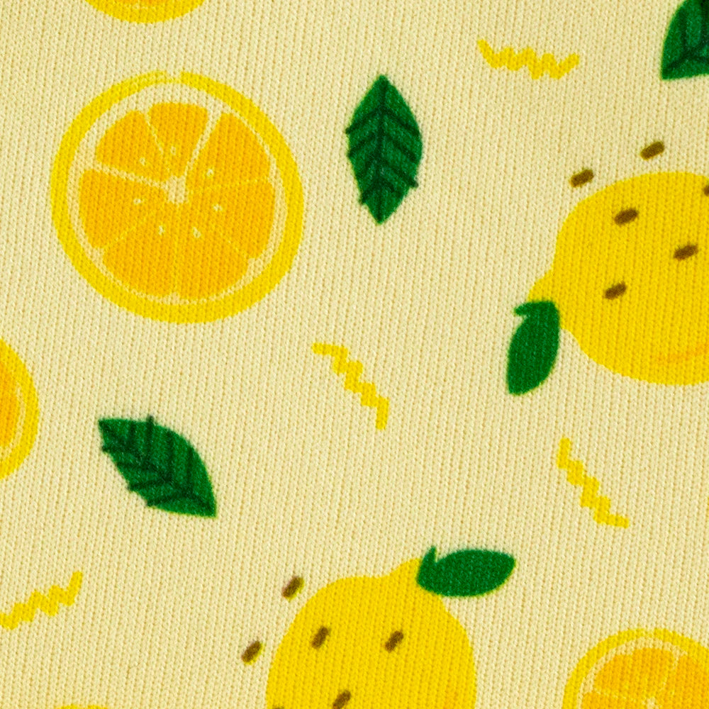 Collarlogo Adjustable Pet Dog Collar Durable Soft Cute Creative Lemon Design Leash Neoprene Harness Poop Poo Bag Dispenser