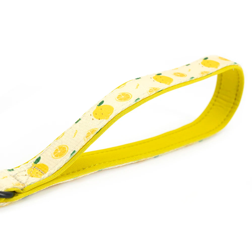 Collarlogo Adjustable Pet Dog Collar Durable Soft Cute Creative Lemon Design Leash Neoprene Harness Poop Poo Bag Dispenser