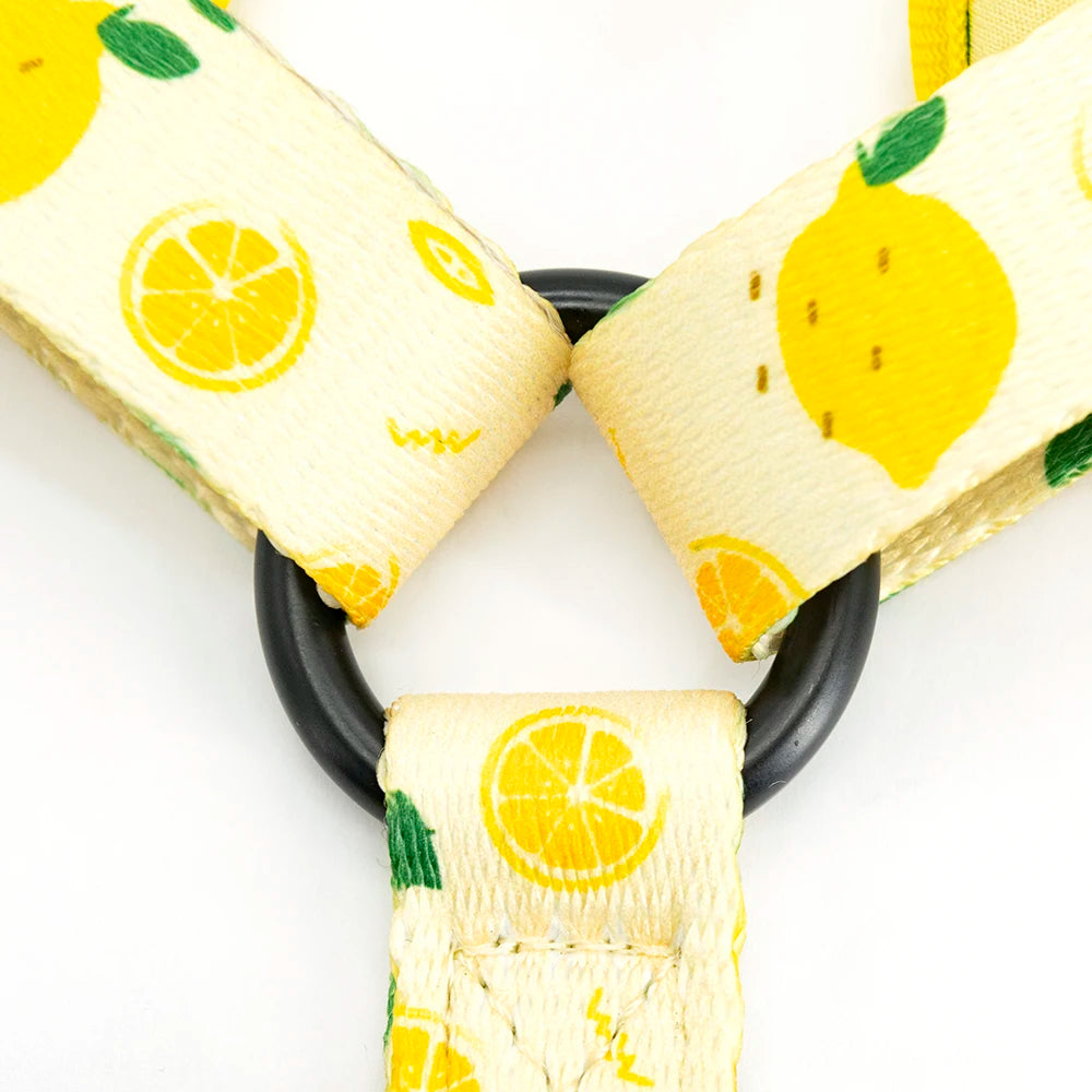 Collarlogo Adjustable Pet Dog Collar Durable Soft Cute Creative Lemon Design Leash Neoprene Harness Poop Poo Bag Dispenser