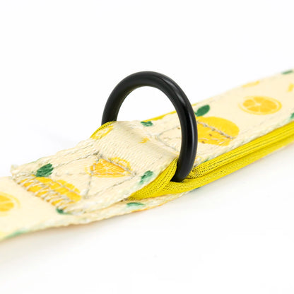 Collarlogo Adjustable Pet Dog Collar Durable Soft Cute Creative Lemon Design Leash Neoprene Harness Poop Poo Bag Dispenser