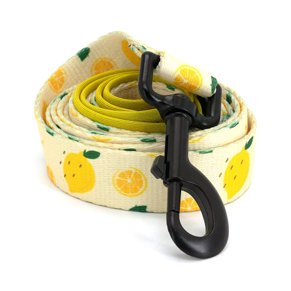 Collarlogo Adjustable Pet Dog Collar Durable Soft Cute Creative Lemon Design Leash Neoprene Harness Poop Poo Bag Dispenser
