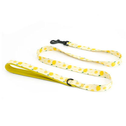 Collarlogo Adjustable Pet Dog Collar Durable Soft Cute Creative Lemon Design Leash Neoprene Harness Poop Poo Bag Dispenser
