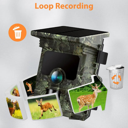 30MP 2K Solar Panel Hunting Camera Infrared Night Vision Monitoring Wildlife Trap Trail Camera Video Photo Recorder Cam