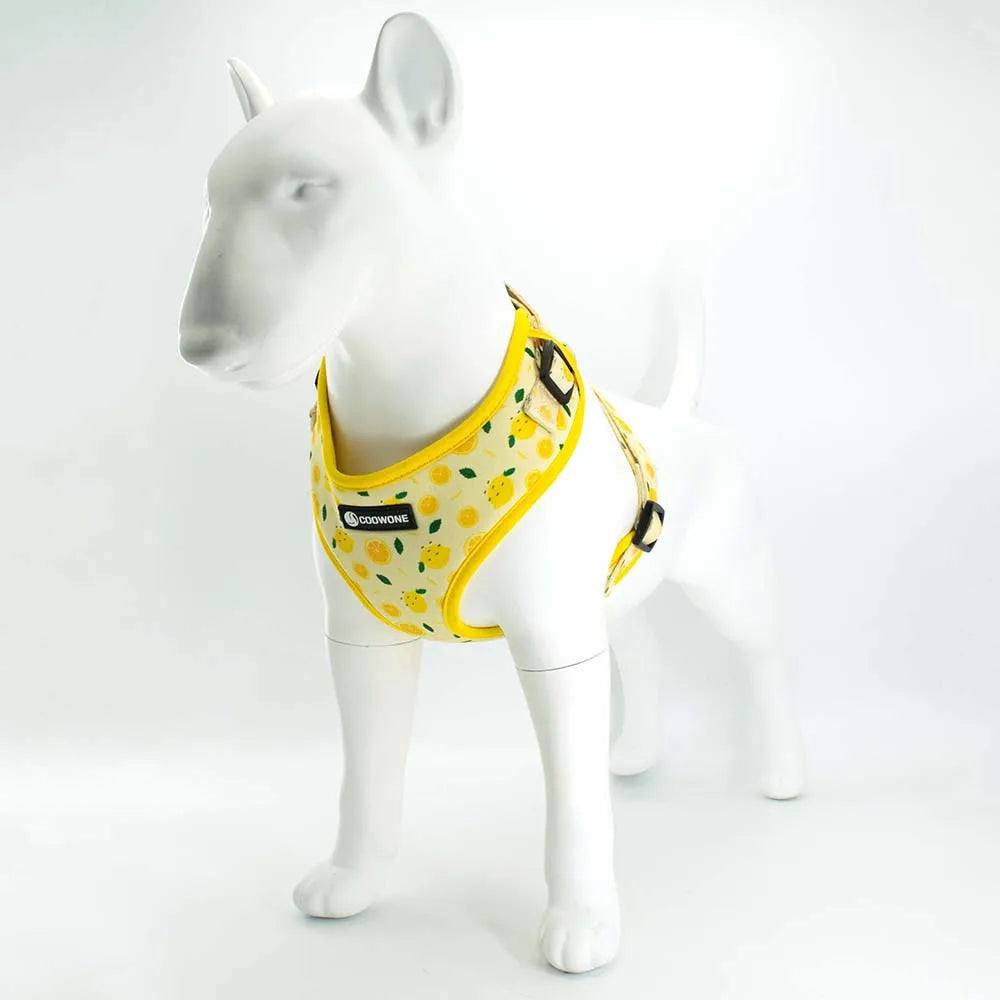 Collarlogo Adjustable Pet Dog Collar Durable Soft Cute Creative Lemon Design Leash Neoprene Harness Poop Poo Bag Dispenser
