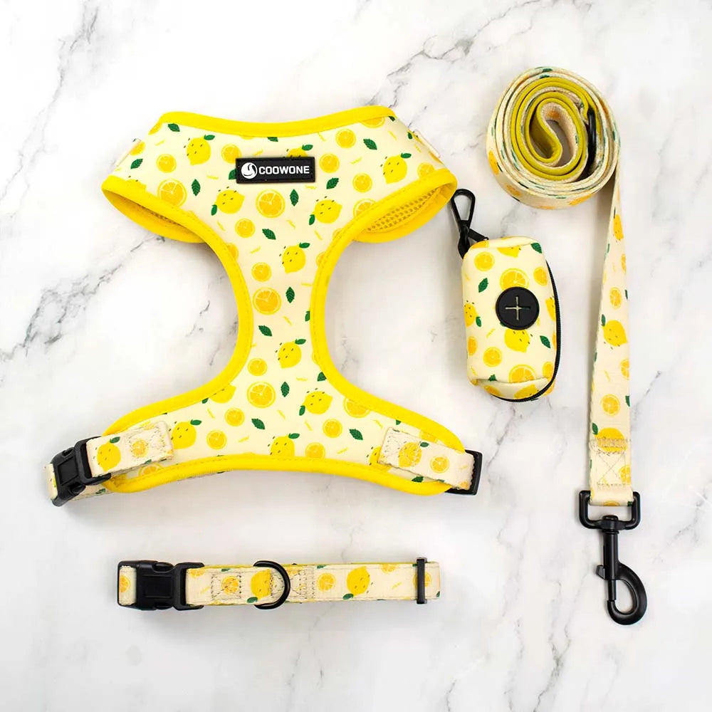 Collarlogo Adjustable Pet Dog Collar Durable Soft Cute Creative Lemon Design Leash Neoprene Harness Poop Poo Bag Dispenser