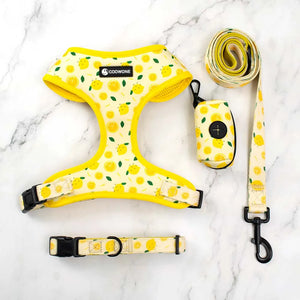 Soft Adjustable Dog Collar with Lemon Print