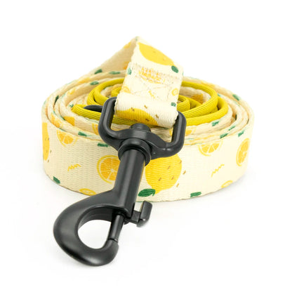 Collarlogo Adjustable Pet Dog Collar Durable Soft Cute Creative Lemon Design Leash Neoprene Harness Poop Poo Bag Dispenser